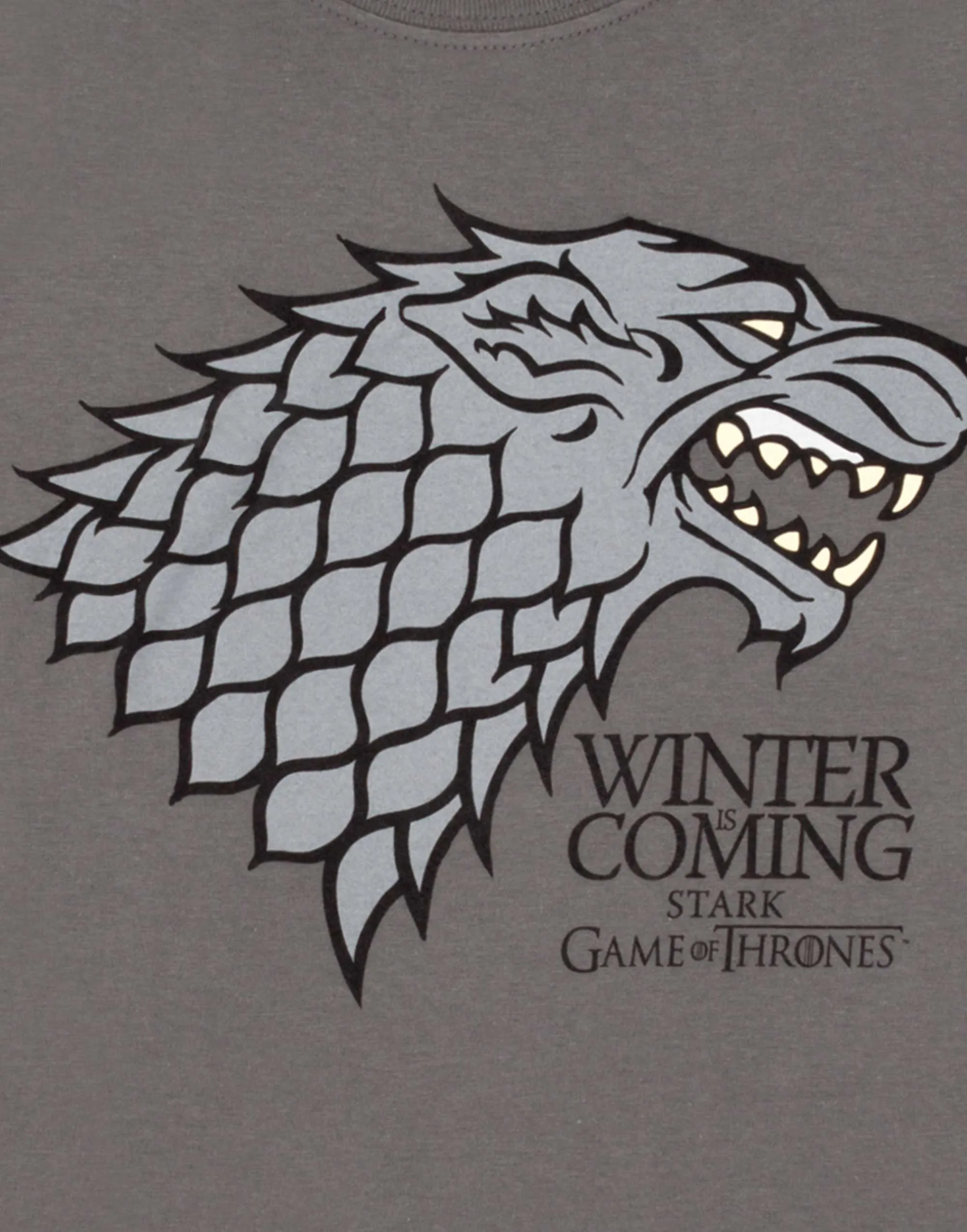Game of Thrones Womens Grey Short Sleeved T-Shirt