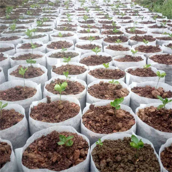 Lookgrow - Nursery plants bags