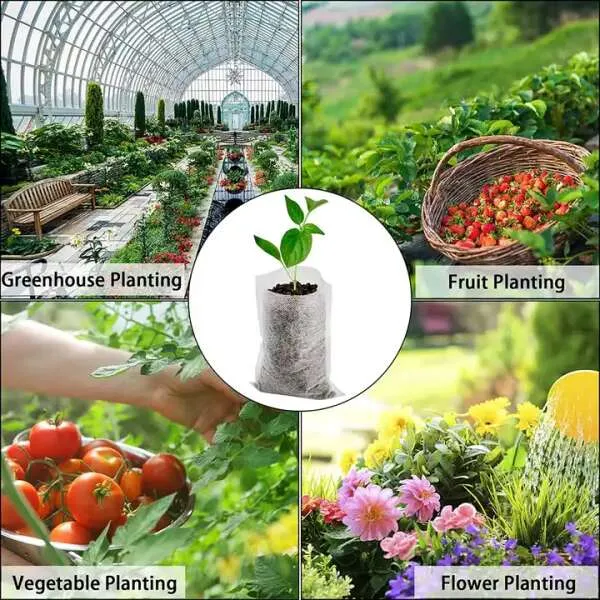 Lookgrow - Nursery plants bags