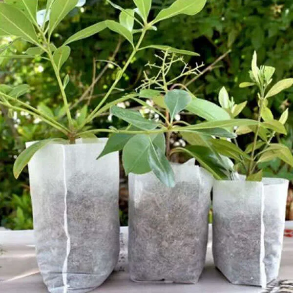 Lookgrow - Nursery plants bags